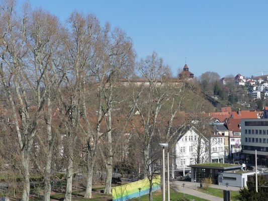 Aussicht auf die Burg