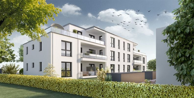 Rückseite Projektiert