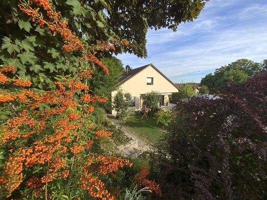 Blick über den Zaun II