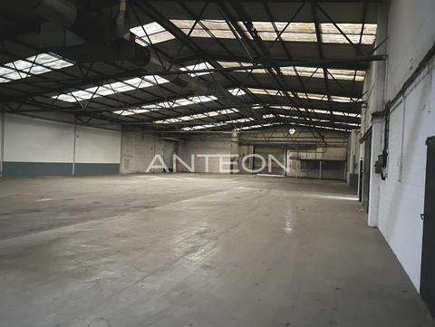 Neuss Halle, Neuss Hallenfläche