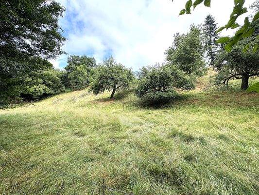 Blick Richtung Westen