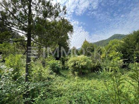 Waldegg Grundstücke, Waldegg Grundstück kaufen