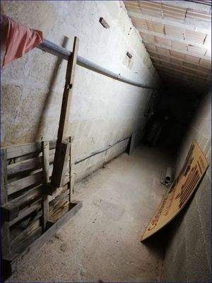 WhatsApp Image 2019-08-25 at 1.png