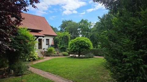 Podelzig Häuser, Podelzig Haus kaufen