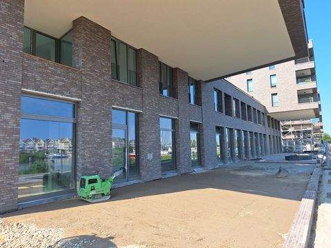 Greifswald Ladenlokale, Ladenflächen 