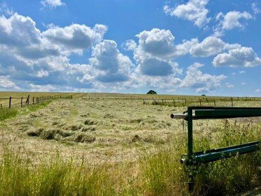 Der Blick in die Umgebung