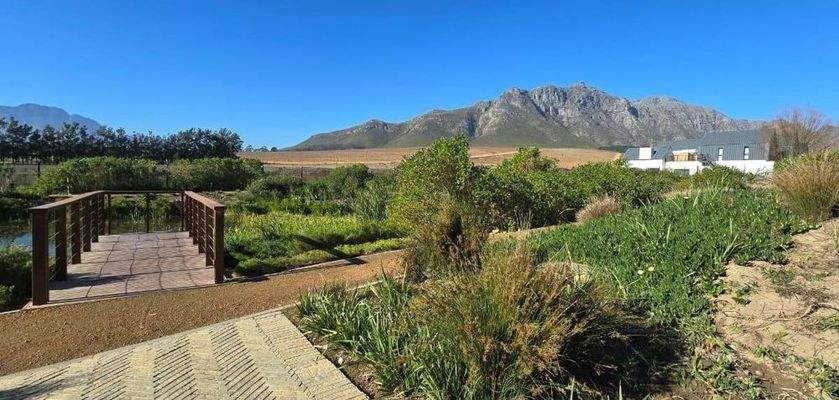 immosquare-objekt 271 (15)