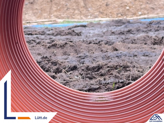 Titelbild - Lütt Immobilien 
