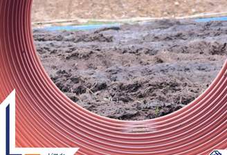 Titelbild - Lütt Immobilien 