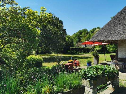 Blick in den Vordergarten.