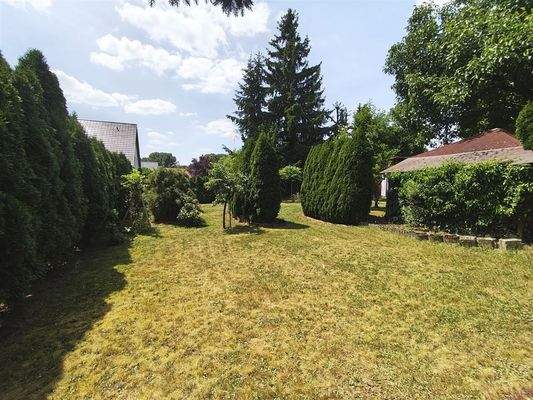 wunderschön eingewachsen