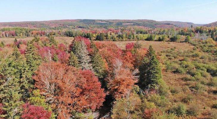Nova Scotia - 25 Hektar großes Areal mit ehemalige