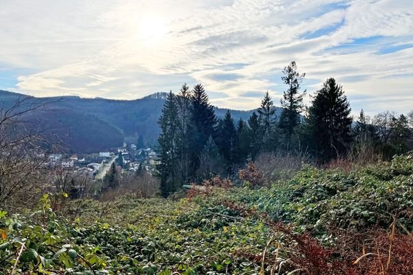 oberes Grundstück und Ausblick