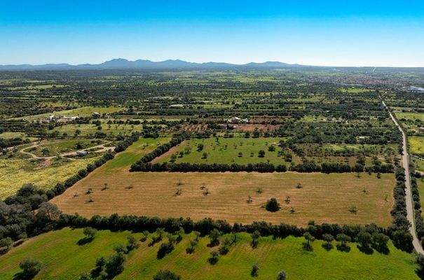 01_130_LH088CN R.Web 006