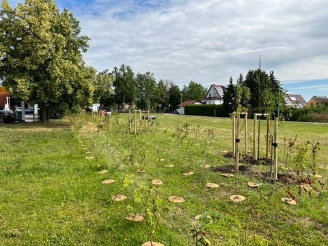 Kölleda Grundstücke, Kölleda Grundstück kaufen