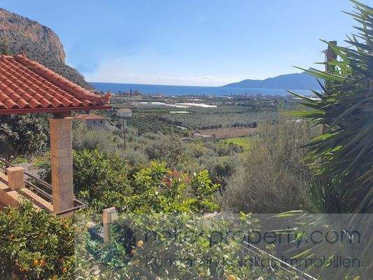 img_9cb48d55-4442-4f42-ab5e-a5beb7e4df27