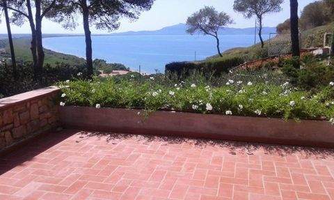 Monte Argentario Häuser, Monte Argentario Haus kaufen