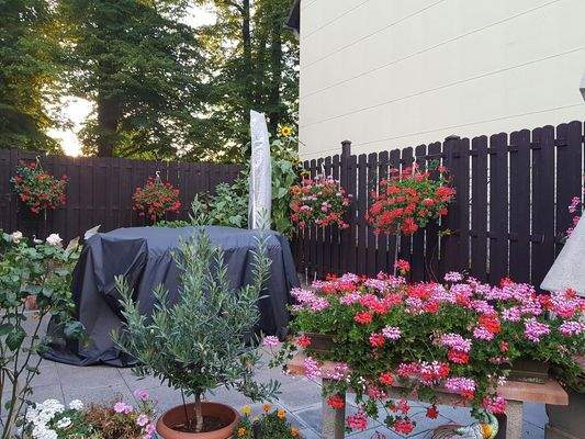 Den Sommer geniessen.....