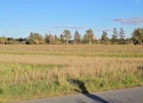 5edc07d3-911d-43b5-aceb-f7af1d5c9065-1956981011