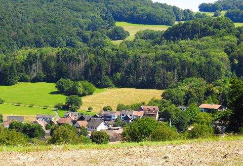 Fischbachtal Grundstücke, Fischbachtal Grundstück kaufen