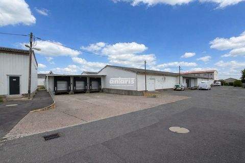 Drei Gleichen Halle, Drei Gleichen Hallenfläche