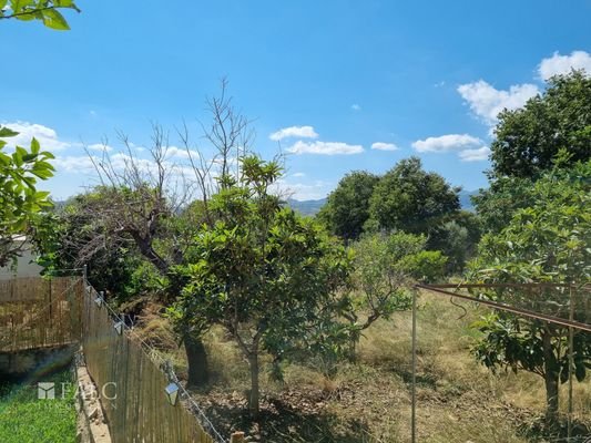 Stadthaus Campanet Blick von Terrasse Kueche