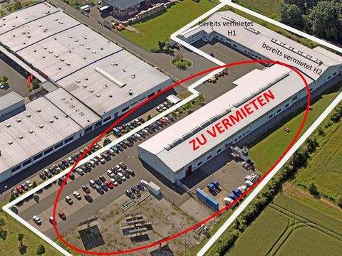 Gremsdorf Halle, Gremsdorf Hallenfläche