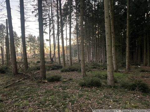 Prinzhöfte Bauernhöfe, Landwirtschaft, Prinzhöfte Forstwirtschaft