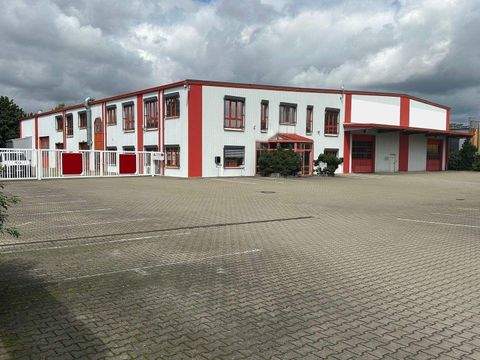 Mühlau Halle, Mühlau Hallenfläche