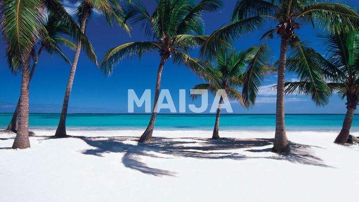 https://d2archx3akf346.cloudfront.net/promotion_image_wm_maija/665777/67e7267a6b385070598943.jpg