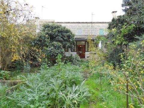 petra Häuser, petra Haus kaufen