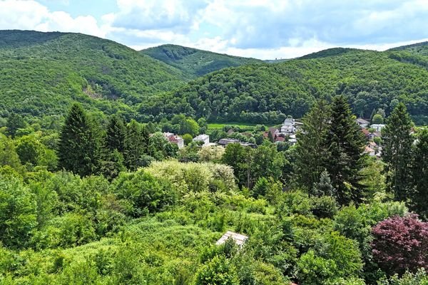 Grundstück und Ausblick Richtung Feuerstein und Dambach