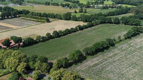 Westerstede Bauernhöfe, Landwirtschaft, Westerstede Forstwirtschaft