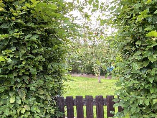 Blick in den Apfelgarten