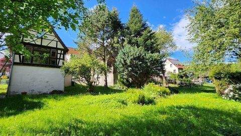 Frohburg Häuser, Frohburg Haus kaufen