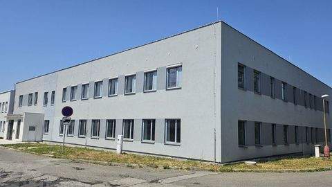 Strakonice Halle, Strakonice Hallenfläche