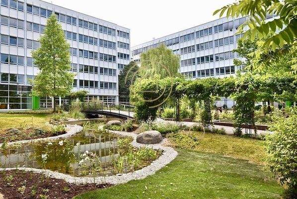 Außenansicht - Garten 2