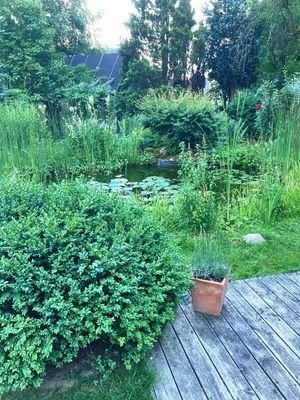 Gartenteich.jpg