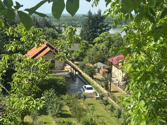 PHOTO-2025-06-03-15-29-14 2.jpg