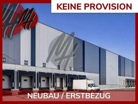 Öhringen Halle, Öhringen Hallenfläche