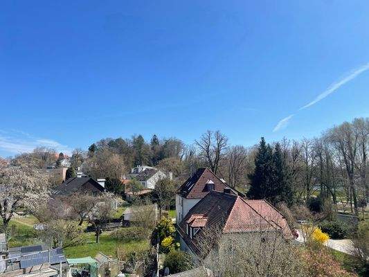 Blick über den Dächern Dachaus