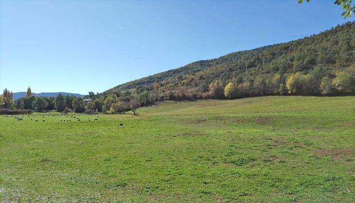 Imagen de WhatsApp 2025-06-20 a las 20.57.47_06928