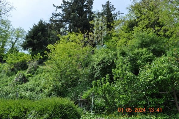 Außenbereich, Hanggrundstück