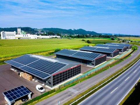 Paldau Halle, Paldau Hallenfläche