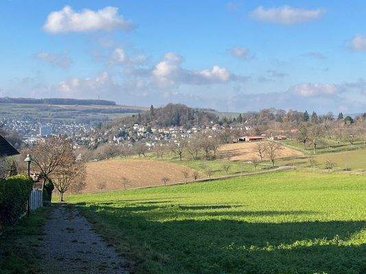 Lörrach vor der Haustür