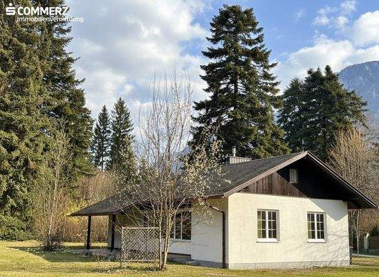 Seitenansicht - KI_generiert (Sonnenschein)