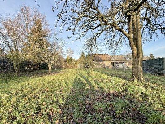 hintere Grundstücksansicht