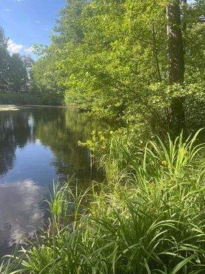 Seerosenweiher,fußläufig  in ca. 4 Min.erreichbar