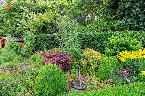 Garten 4