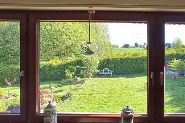 Ausblick in den Garten